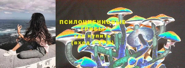 бошки Алзамай