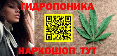 крисы Кузнецк