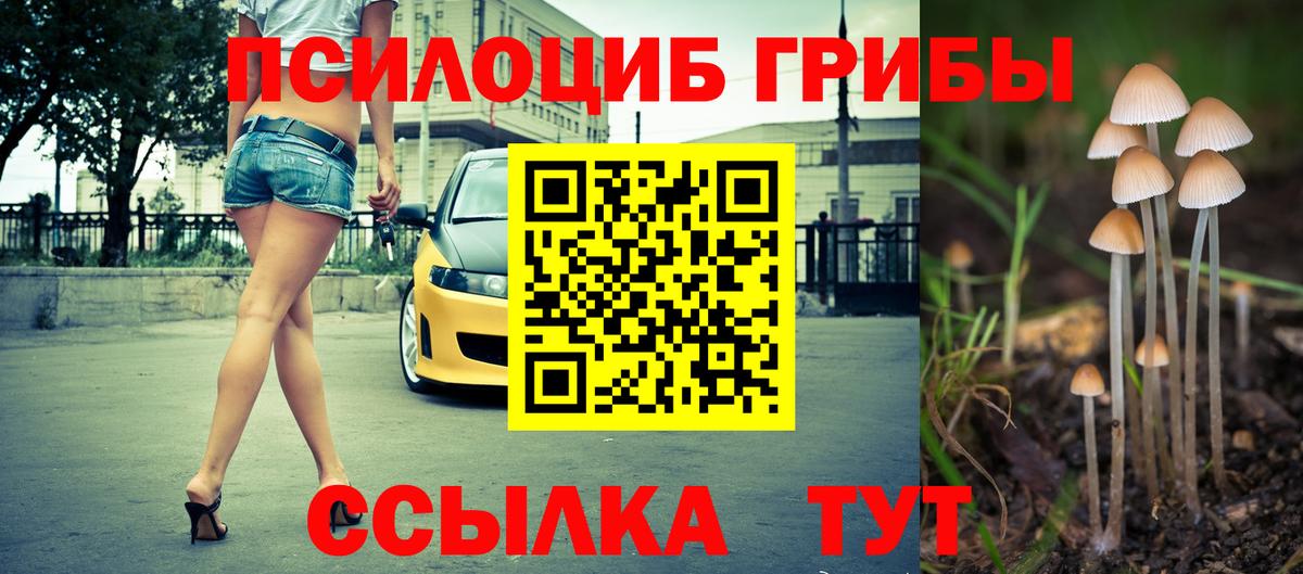 Галлюциногенные грибы Psilocybine cubensis  Вход с VPN  Арзамас 